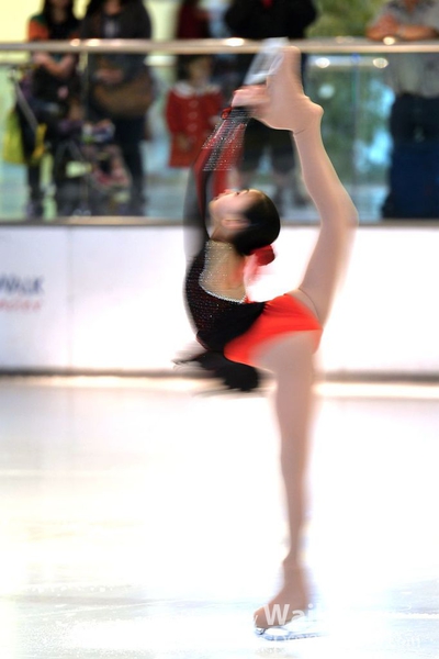 DSC_8412