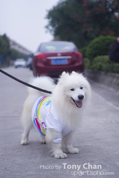 ColorRun_26