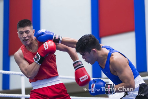 Box2014