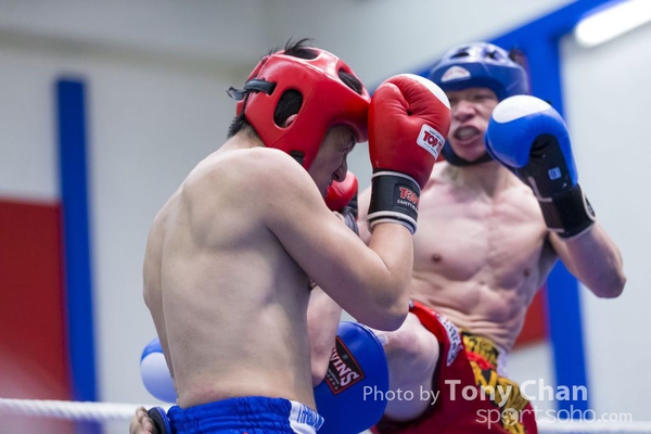 boxing2097