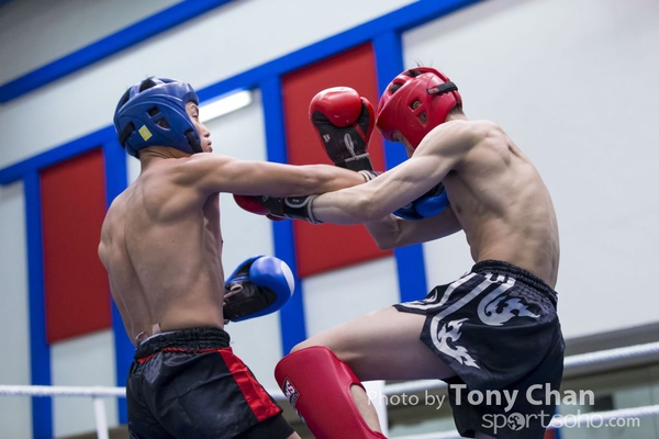 boxing2099