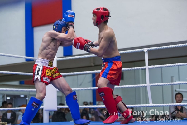boxing2113