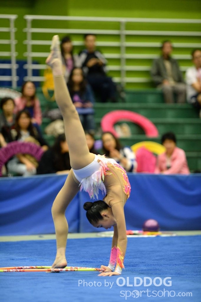 DSC_8313