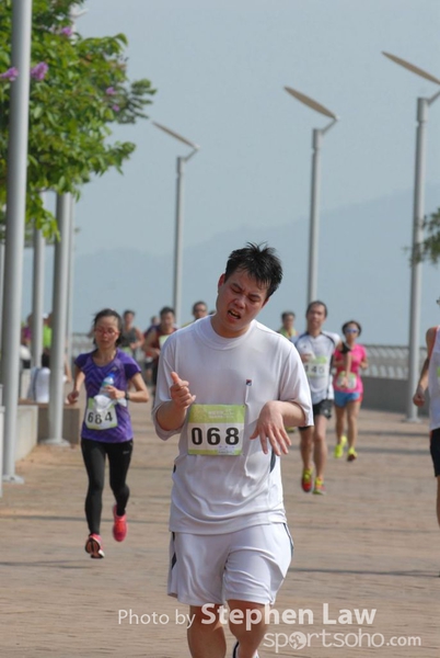 BIR_0463