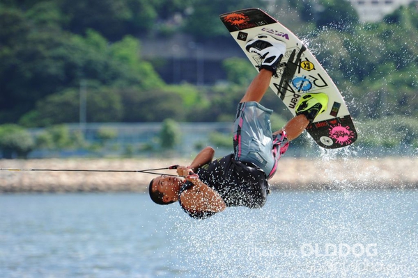 Wakefest D2 (88)