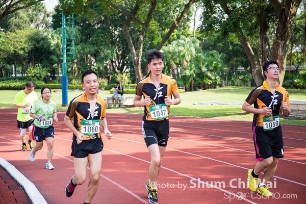 image393