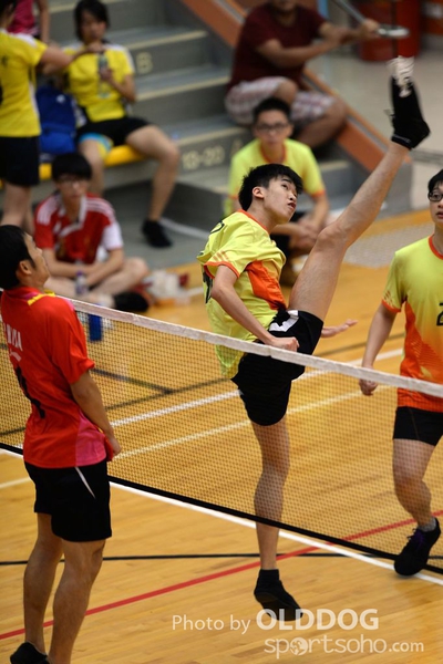 141012 Shuttlecock (4)
