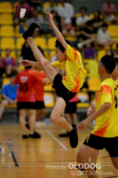 141012 Shuttlecock (15)