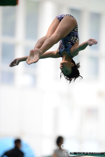 Diving (3)