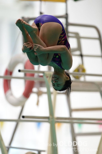 Diving (8)