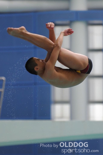 Diving (11)