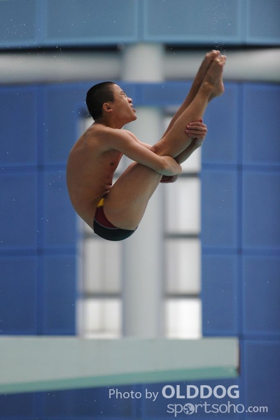 Diving (12)