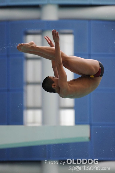 Diving (13)