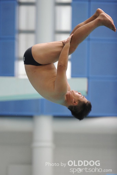 Diving (14)