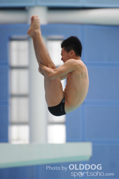 Diving (15)