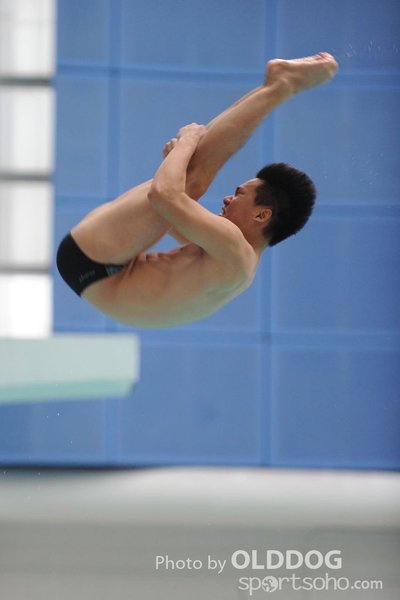 Diving (16)