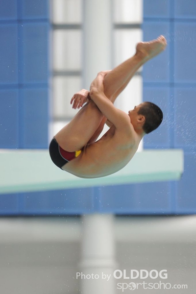 Diving (23)