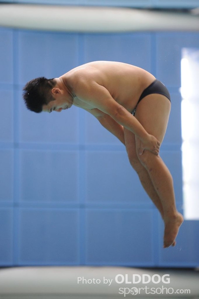 Diving (30)
