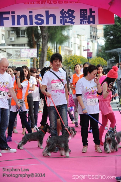 SPT_2013
