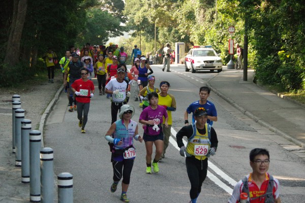 IMGP2663