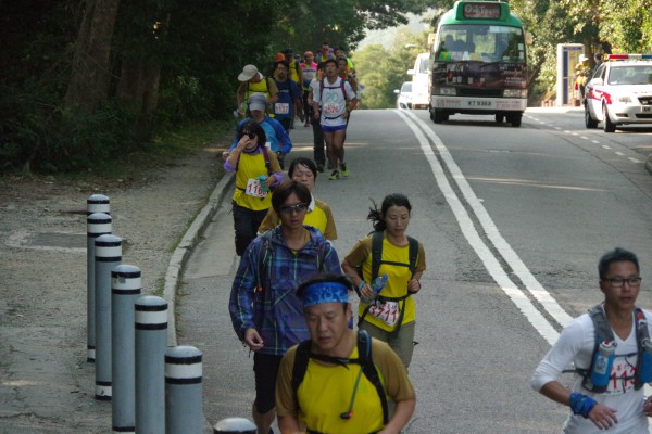 IMGP3005