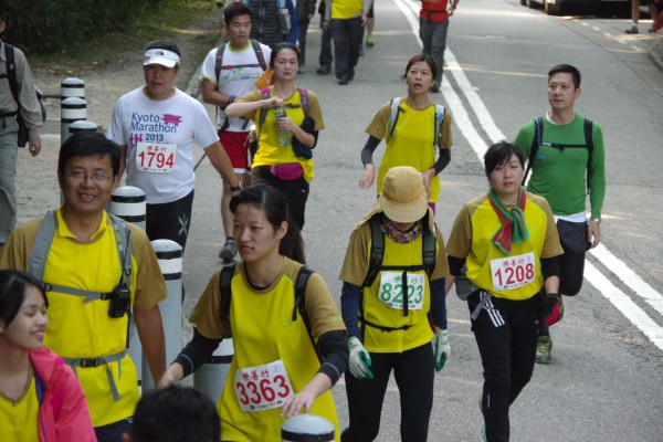 IMGP3233
