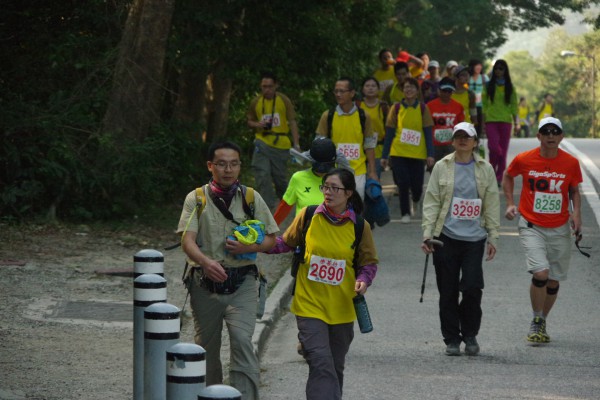 IMGP3536
