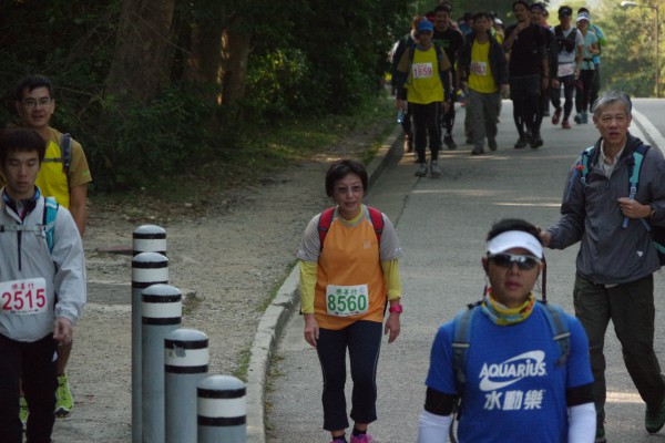 IMGP3567