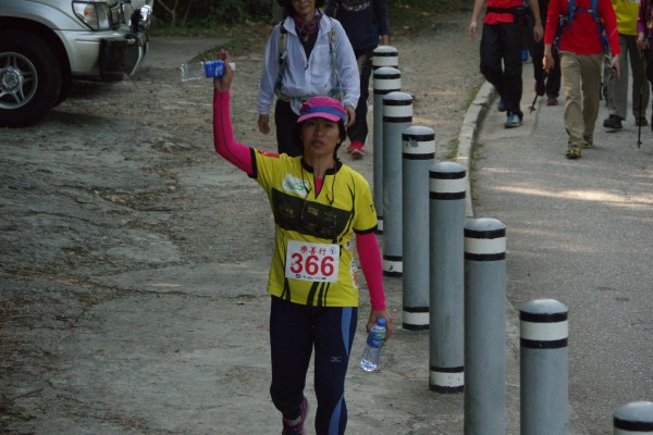 IMGP3953