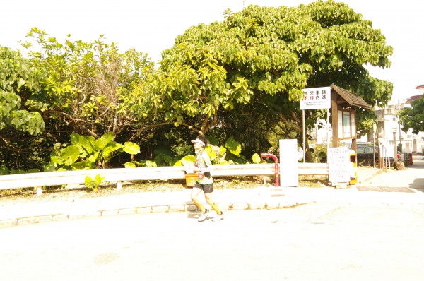 IMGP7127