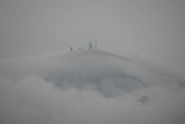 DSC_7308
