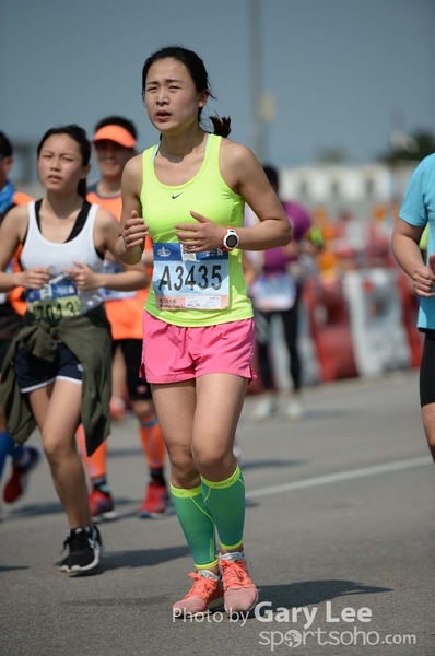 GAL_8515