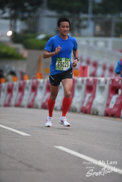 LAM_7264