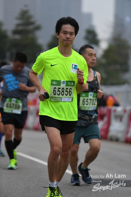 LAM_7425