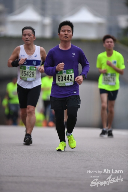LAM_7452