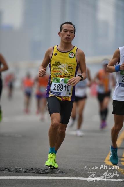 LAM_7851