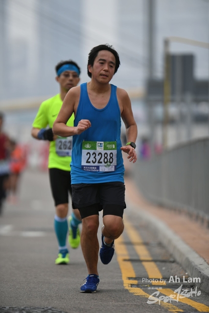 LAM_8015
