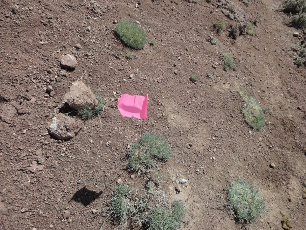 Flag for indicating the route