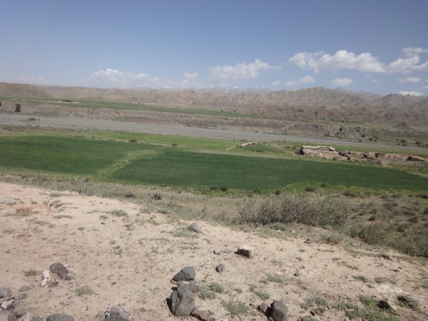 Green field at far away