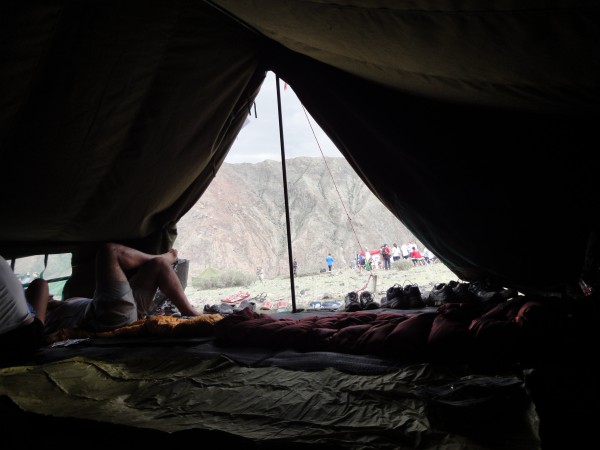 Picture took in the tank