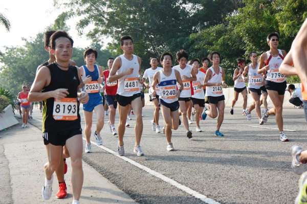 Asics 10K 2010 308