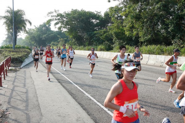 Asics 10K 2010 310