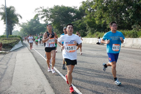 Asics 10K 2010 380