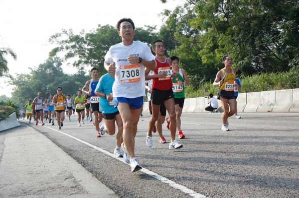 Asics 10K 2010 410