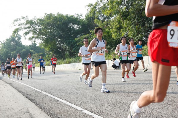 Asics 10K 2010 480