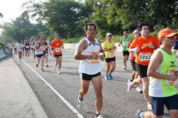 Asics 10K 2010 520