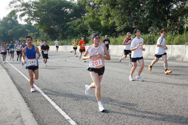 Asics 10K 2010 530