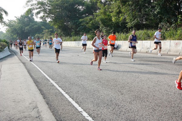 Asics 10K 2010 546