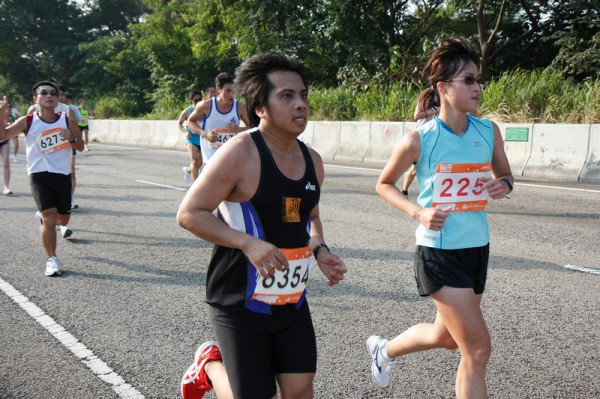 Asics 10K 2010 550