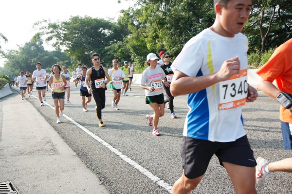 Asics 10K 2010 718